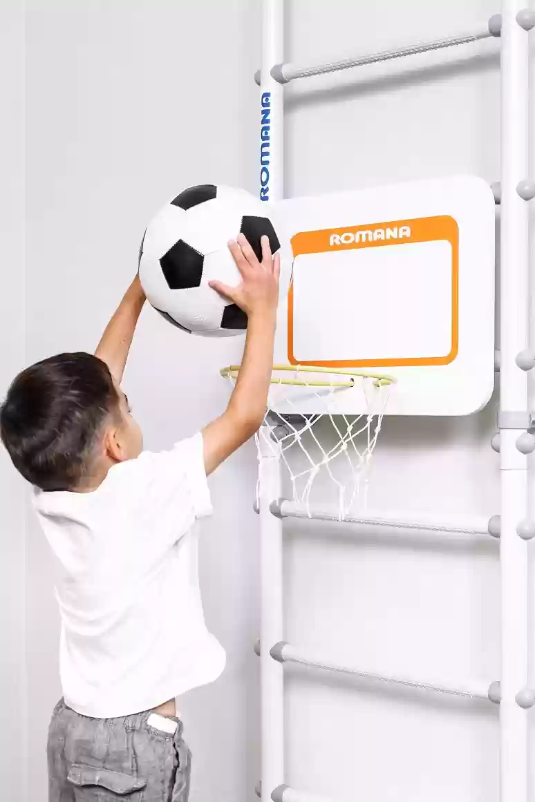 ROMANA Dop12 Basketball board